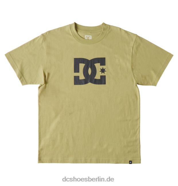 DC-Sternt-shirt der MännerDC Shoes Salbei 486FT73
