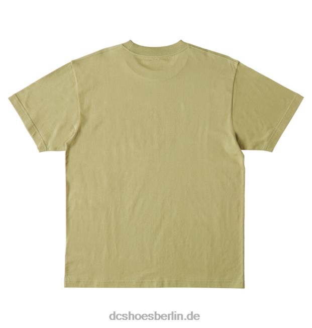 DC-Sternt-shirt der MännerDC Shoes Salbei 486FT73
