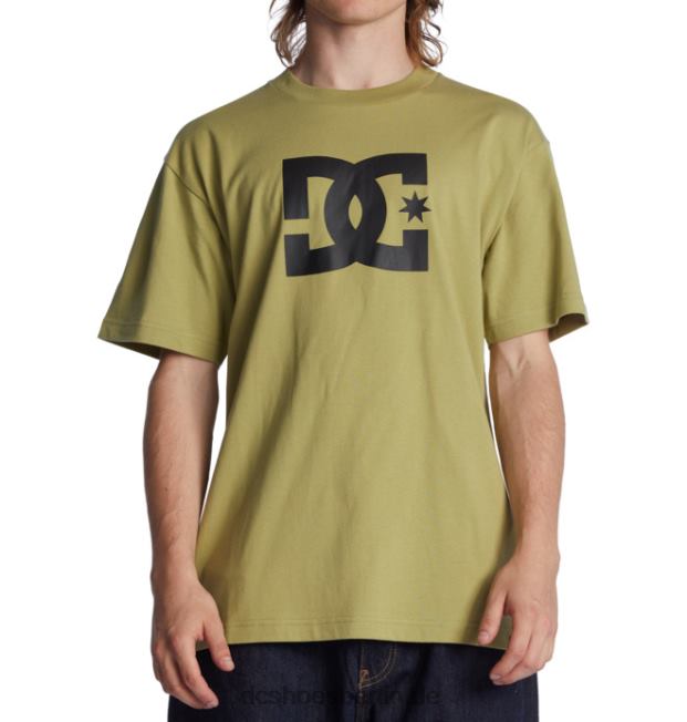 DC-Sternt-shirt der MännerDC Shoes Salbei 486FT73