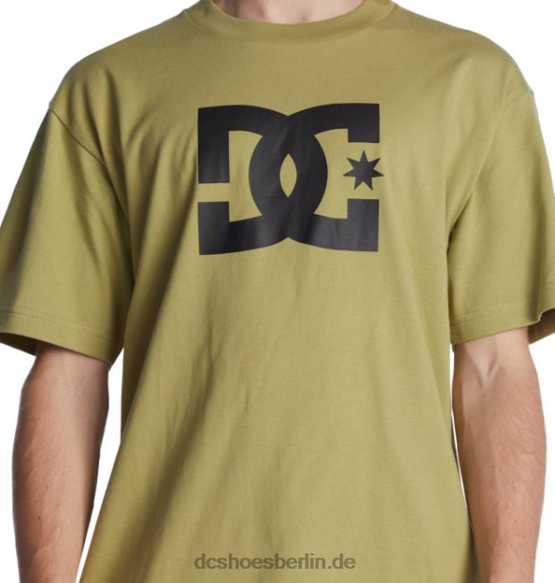 DC-Sternt-shirt der MännerDC Shoes Salbei 486FT73