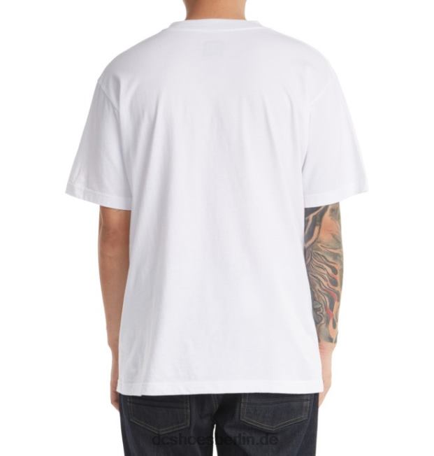 DC-Sternt-shirt der MännerDC Shoes Weiss 486FT400