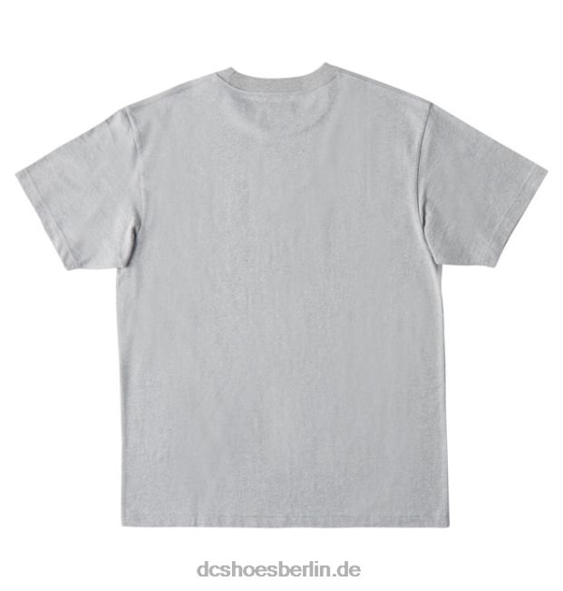 Erbe-T - Shirt der DC-Sternfüllung der MännerDC Shoes Heather Grey/Warm Ice Dye 486FT78