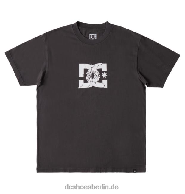 Trümmer-T-Shirt für HerrenDC Shoes schwarze Enzymwäsche 486FT113