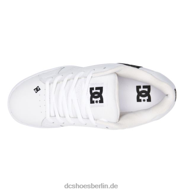 Netzschuhe für HerrenDC Shoes weiß grau 486FT193