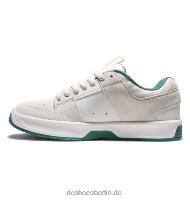 Lynx Zero Skateschuhe für HerrenDC Shoes hellgrau 486FT367