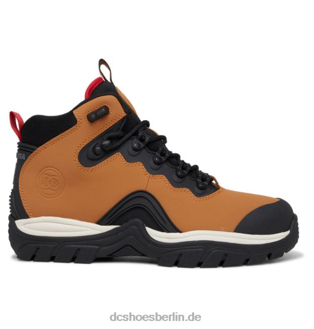 Winterstiefel mit Navigator-Schnürung für HerrenDC Shoes weizen/schwarz 486FT165