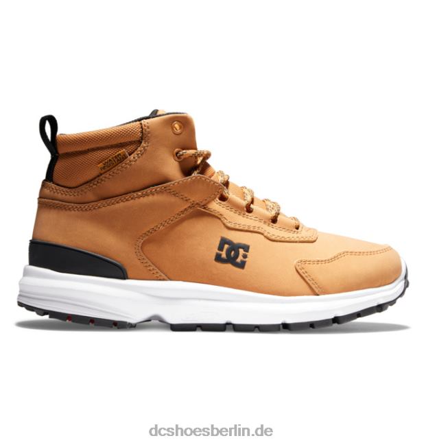 wasserabweisende Winterstiefel von Meuterei für HerrenDC Shoes weizen/schwarz 486FT334